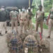 Seven wild boar poachers arrested by forest officials in Tapi