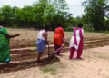 Real life hero Sonu Sood gifts tractor to AP farmer after video of his plight goes viral
