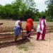 Real life hero Sonu Sood gifts tractor to AP farmer after video of his plight goes viral