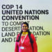 UN Chief announces young Indian activist for new advisory group on climate change