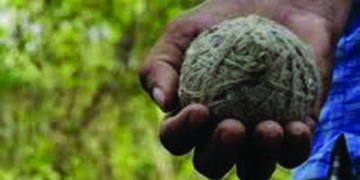 Boy suffers jaw injury after biting a country-made bomb