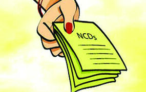 Torrent Power seeks shareholders’ nod to raise up to Rs 2,000 cr via NCDs