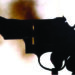 Hindu outfit leader’s PSO kills self in Chennai with service pistol