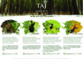 Taj Safaris Announces “Nature Talk” On International Tiger Day