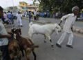 Police prohibit animal sacrifice in public in Ahmedabad, Surat