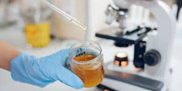Union Agriculture Minister Tomar unveils Govt’s first honey testing lab at NDDB, Anand