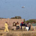 Locust control operations carried out in 35 places in Gujarat, Rajasthan, UP