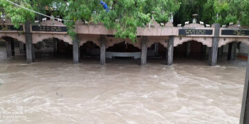 Heavy rains continue to lash Saurashtra, old bridge in Junagadh caves in