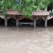 Heavy rains continue to lash Saurashtra, old bridge in Junagadh caves in