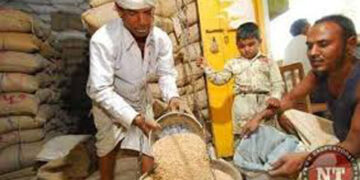 Cabinet nod for extension of free food grains and pulses under PMGKAY for 5 months till Nov