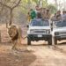 After report of 2 positive cases, Sasan near Gir lion sanctuary opts for 4-day lockdown