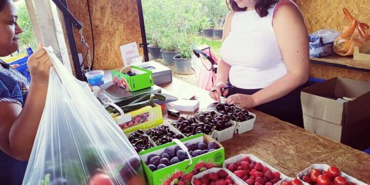 Ecotourism: With biz acumen, German horticulture farmers reap a good harvest of moolah