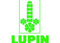 Lupin launches Favipiravir Drug Covihalt for mild to moderate COVID-19