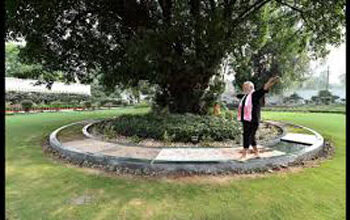 PM posts video of him feeding peacocks