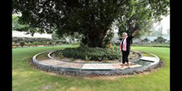 PM posts video of him feeding peacocks