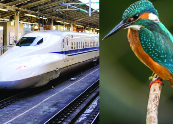 IIT-M to start a course on Biomimicry