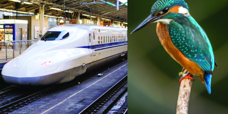 IIT-M to start a course on Biomimicry