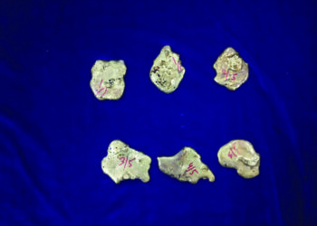 Gold worth over Rs 80 lakh seized from passengers in relief flights; two arrested