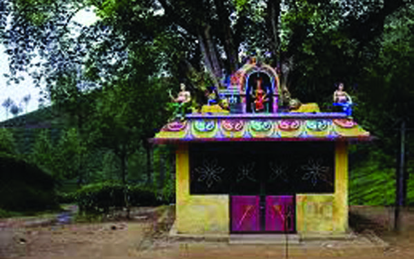 Tamil Nadu govt allows worship in small temples, churches, mosques from Monday