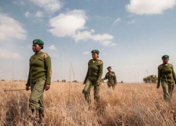 Kenyan all-female wildlife rangers “Team Lioness” breaks down barriers