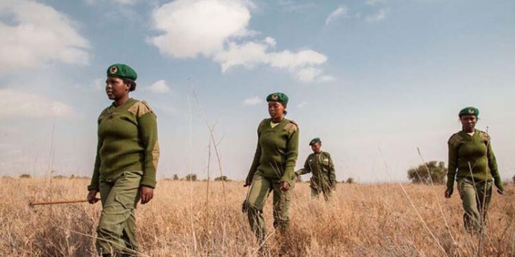Kenyan all-female wildlife rangers “Team Lioness” breaks down barriers