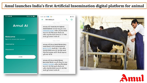 Amul launches digitisation of artificial insemination services for animals  – Navjeevan Express