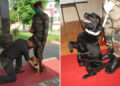 Man’s best friend: In Mann Ki Baat, PM praises Army’s bravehearts Vida and Sophie, exhorts adopting  local breeds