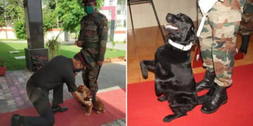Man’s best friend: In Mann Ki Baat, PM praises Army’s bravehearts Vida and Sophie, exhorts adopting  local breeds