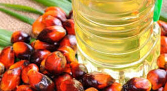 Edible oil industry body SEA urges govt to allow import of only crude palm oil