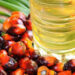 Edible oil industry body SEA urges govt to allow import of only crude palm oil