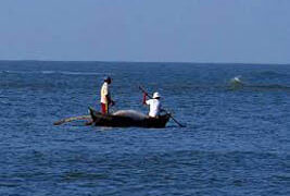 BSF nabs one Pak fisherman, seizes four fishing boats