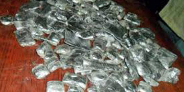 Over 1,300 kg hashish seized off Gujarat coast in 4 months, BSF steps up vigil