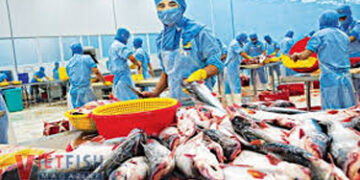 MPEDA opens testing lab in Porbandar for seafood exporters to ensure international quality standards