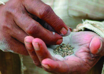 Regulate Sale of Smokeless and Other Untaxed Tobacco Products, SHG urges government