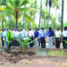TNAU’s initiative: Mass multiplication of elite coconut varieties to meet demand of quality seedlings