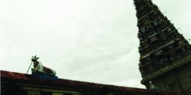 Ancient idols unearthed from pond belonging to Chola era temple near Karaikal