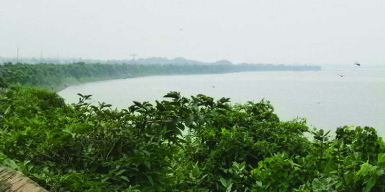 Chennai Metrowater hopeful of maintaining 700 MLD water supply till May 2021, says S.P. Velumani