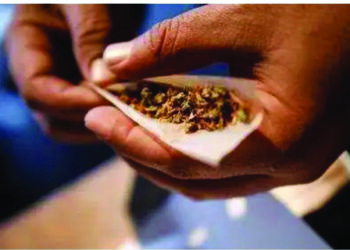 Nearly 1,000 kg of ganja seized from a house in Chennai