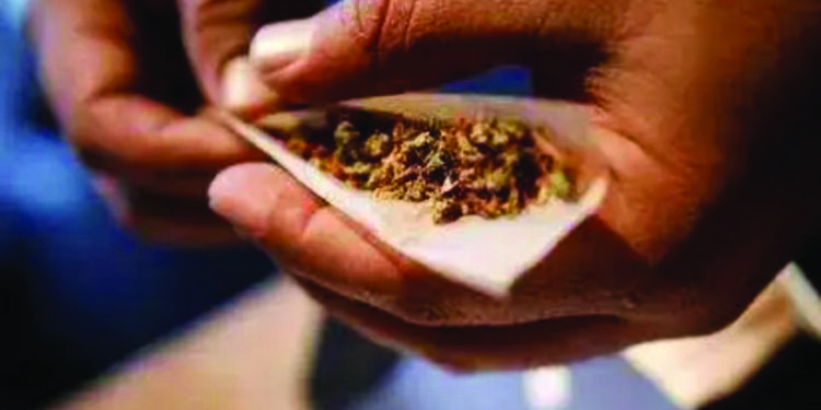 Nearly 1,000 kg of ganja seized from a house in Chennai