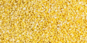 Centre offers processed moong, urad to states at subsidised rate for retail sale