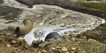 NGT seeks report on allegation of pollution by Aditya Birla Group’s flagship company in Gir-Somnath district