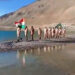 Army further strengthens dominance in strategic heights in eastern Ladakh