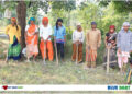 CSR: Blue Dart Express, Grow-Trees to plant over 1.1 lakh trees in Kanha-Pench wildlife corridor by December-end