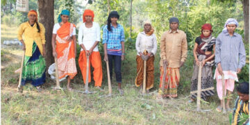 CSR: Blue Dart Express, Grow-Trees to plant over 1.1 lakh trees in Kanha-Pench wildlife corridor by December-end