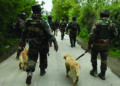 Canine unit keep danger and stress at bay for soldiers in J-K