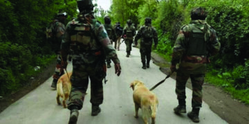 Canine unit keep danger and stress at bay for soldiers in J-K