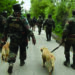 Canine unit keep danger and stress at bay for soldiers in J-K