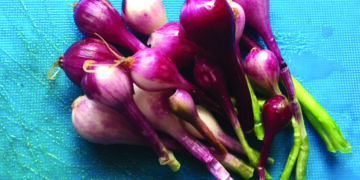 TN Couple Receives Unique and ‘Expensive’ Bouquet of Onions as Wedding Gift