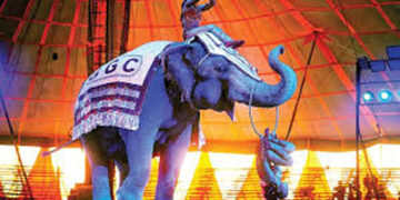 Gujarat-based Great Golden Circus only recognised circus in India, CZA tells Delhi HC