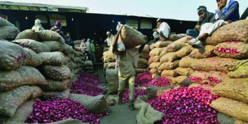 TN launches sale of onion at Rs 45 a kilo, Stalin alleges hoarding behind price rise